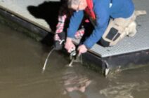 Befestigen des neuen Seils an der Pritsche