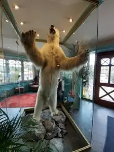 Das Maskottchen im Hotel "Der weiße Bär"