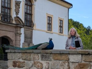 Schloss in Decin