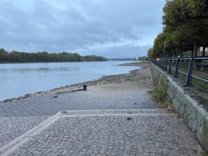 Wenig Wasser im Rhein